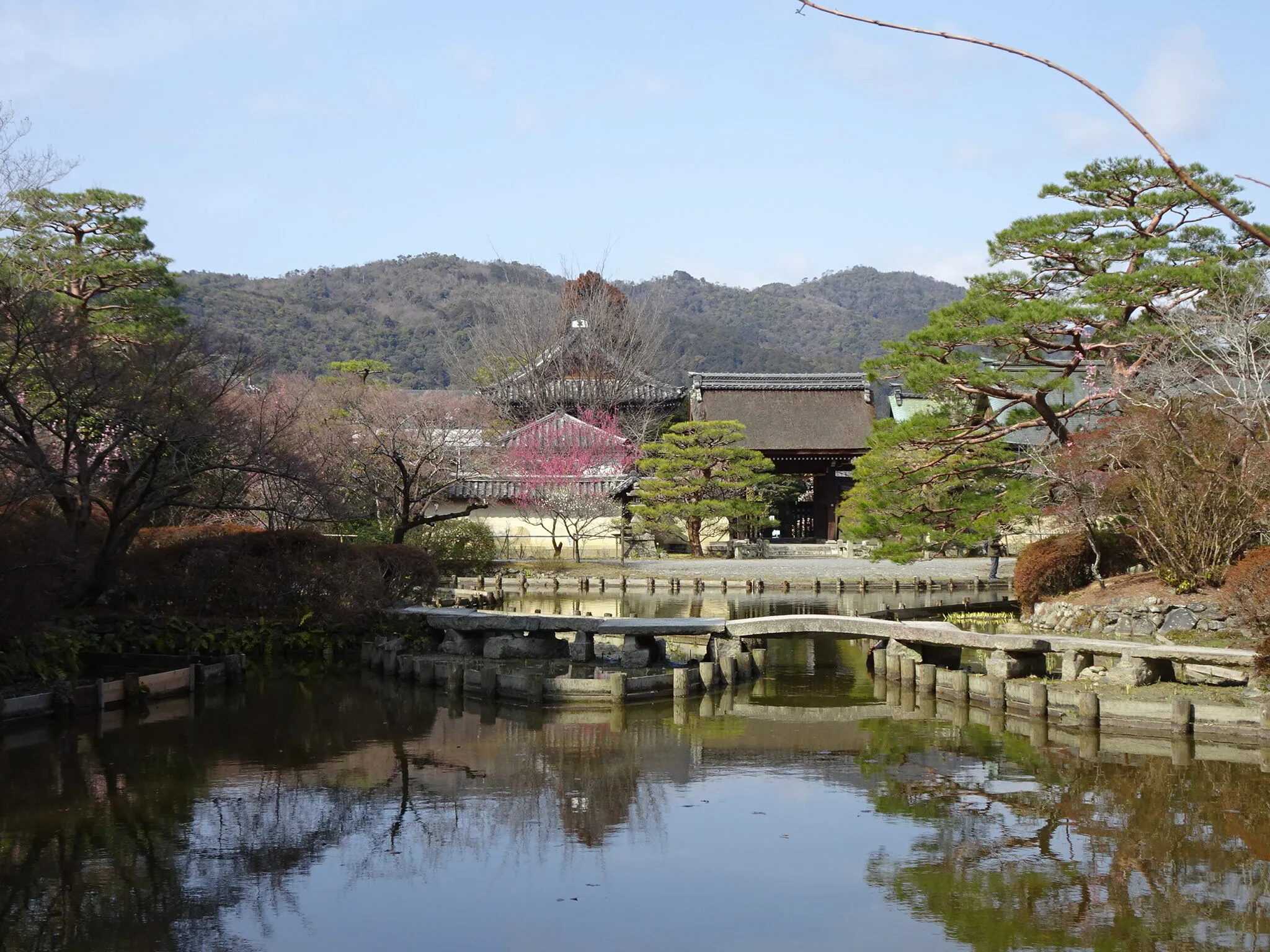 梅宮大社の写真 5