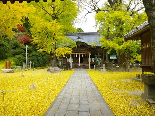 綾部八幡神社の写真 3